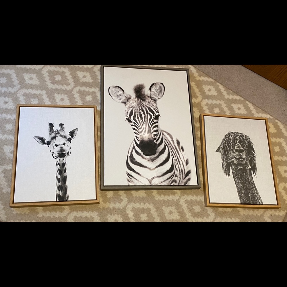 Black and White Framed Canvas Prints